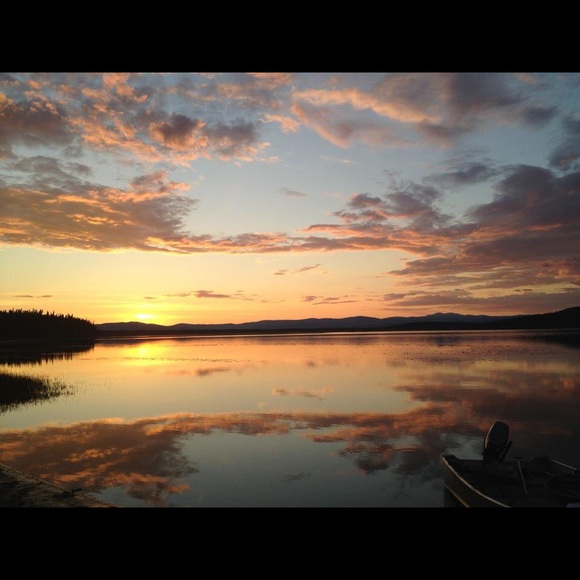 2000+ 5⭐️ REVIEWS - Picture 9 of 17